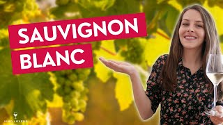 À la découverte du sauvignon blanc  origines caractéristiques et régions [upl. by Sipple984]