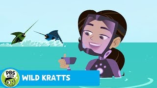 WILD KRATTS  Billfish Powers  PBS KIDS [upl. by Kenelm]