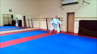 Kata Heian Shodan  Karate Tradycyjne  AKT Opole Zbigniew Sitarz 5 Dan 2016 [upl. by Bevin]