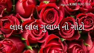 Lal lal gulab no goto gujarati songgujarati timlisureshbhai patel [upl. by Anastasia502]