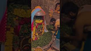 Ujjain Mahakal Jotirlinga Bel Patra Abhishek  Mahamrutyunjay Mantra Status  Mahakal status [upl. by Conley]