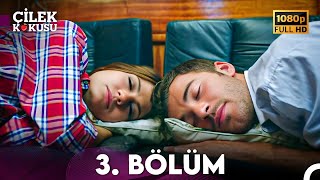 Çilek Kokusu 3 Bölüm FULL HD [upl. by Howie]