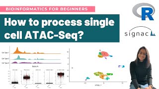 How to analyze singlecell ATACSeq data in R  Detailed Signac Workflow Tutorial [upl. by Nanreh]