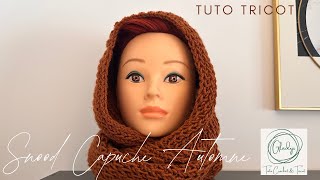 SNOOD CAPUCHE AUTOMNE  TUTO TRICOT [upl. by Annohsat871]