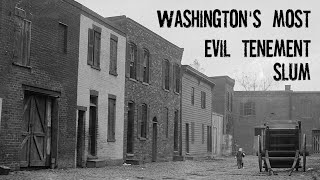 Survival in Washington DCs Most Evil Tenement A Notorious and Disgraceful Slum [upl. by Kalvn]