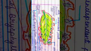 Biology figure of class 10 ncert biology drawing sketch art artist shorts [upl. by Enirual]