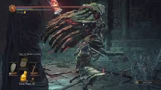 DARK SOULS™ III Irithyll Dungeon Boss Fight [upl. by Lonyer]