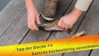 Tipp der Woche 4 Barsche küchenfertig ausnehmen [upl. by Notsua]