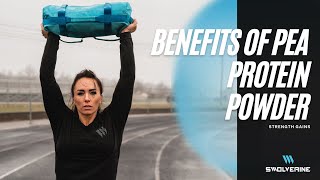 Benefits Of Pea Protein [upl. by Eloci]