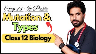 Mutation amp its Types  Class 12th Biology  Chapter 23 [upl. by Edwine]