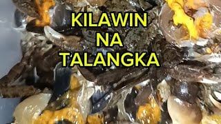 Subukan mo etong kilawin na talangka🦀quotSoymarinated crabsquot🤤🤤🤤 [upl. by Jamil]