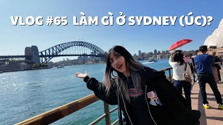 VLOG 65 LÀM GÌ Ở SYDNEY ÚC  duongfynn [upl. by Akcirre]