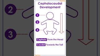 Cephalocaudal and Proximodistal development  इनमें क्या अंतर है  CTET amp TET CDP [upl. by Anairda]