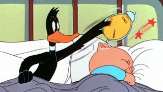 Looney Tunes  Daffy Duck Slept Here  Daffy Duck amp Porky Pig  1948  Classic Cartoon [upl. by Pani]