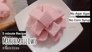 MARSHMALLOWS IN 5 Mins Squishy amp Satisfying Marshmallow recipe [upl. by Nethsa]