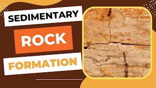 Sedimentary Rock Formation  Weathering Erosion Deposition Compaction amp Cementation [upl. by Ennairak]