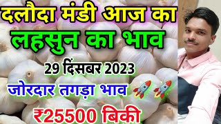 दलौदा मंडी आज का लहसुन का भाव 29 दिसंबर 2023 old garlic rate today daloda aaj ka lahsun ka bhav [upl. by Peppel]