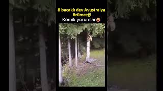 komik instagram yorumları part 47 komikvideolar komik shorts reels mizah keşfet [upl. by Leonteen]