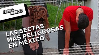 Las sectas más peligrosas de México [upl. by Alius499]