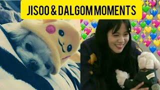 BLACKPINK JISOO amp DALGOM Funny Moments 😂😂😂😂😂😂😂😂😂😂😂 18 [upl. by Kyred323]