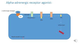 Nasal decongestant [upl. by Decamp]