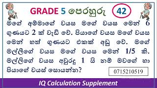 Grade 5 Perahuru Prashna 42  Wayasa Gatalu [upl. by Sarina]