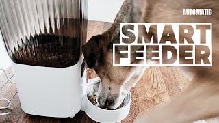 Review Sandpoy Automatic Cat Feeder Smart with Camera 1080P Live Video with Night Vision [upl. by Yrogerg]