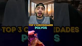 POLVOS  TOP 3 CURIOSIDADES [upl. by Notsgnal]