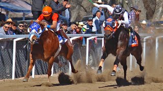 Carreras de Caballos en Imuris 30 Enero 2022 [upl. by Yddor583]