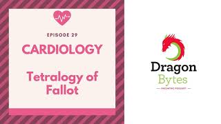 Cardiology  Tetralogy of Fallot Part 1 [upl. by Tarrah]