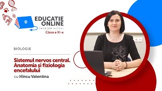 Biologie clasa a XIa Sistemul nervos central Anatomia și fiziologia encefalului [upl. by Rosner498]