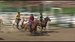 Palio 2010mp4 [upl. by Nwahsir]