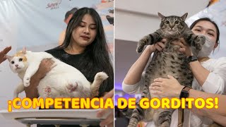 Centro comercial organiza Competencia del Gato mas Gordo y despierta Controversia [upl. by Darrill333]