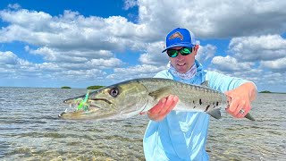 Barracuda 101  How to Fly Fish for Barracuda [upl. by Eatnuahc]