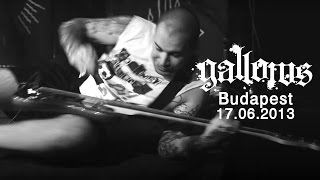 GALLOWS  Misery Live in Budapest 17062013 HD 12 [upl. by Tabatha]