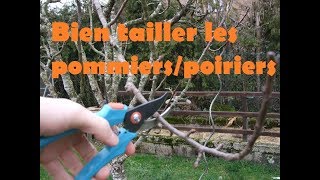 taille dhiver des pommiers et poiriers [upl. by Aramit]