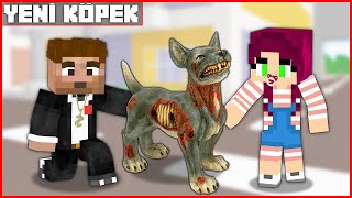 BAŞKAN ALİ AİLESİNİN KÖPEĞİ OLDU 🐺  Minecraft ZENGİN FAKİR HAYATI [upl. by Notniuq]