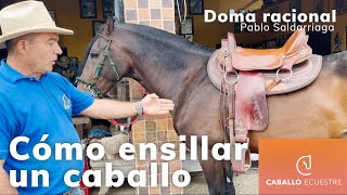 Cómo ensillar un caballo correctamente  Doma racional  Pablo Saldarriaga [upl. by Vinni]