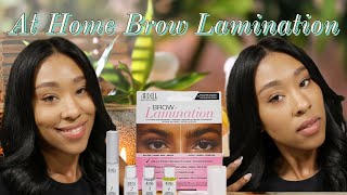 My First Time Laminating My Brows Ardell Professional Eyebrow Lamination [upl. by Oab449]