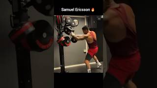 Samuel Ericsson boxing training 🥊 speed [upl. by Haile]