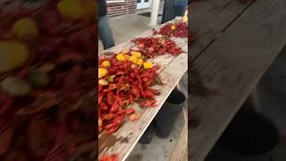 Crawfish Boil Cajun Cuisine Swamp People Louisiana Bayou cajun seafood [upl. by Arliene693]