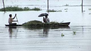 Houseboat cruiser drifting in placid waters of Kerala [upl. by Hama]