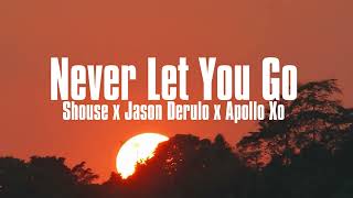 Shouse amp Jason Derulo Never Let You Go Apollo Xo Remix [upl. by Lerad65]