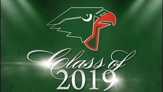 Harlingen High School South Graduation 2019 [upl. by Pirbhai596]