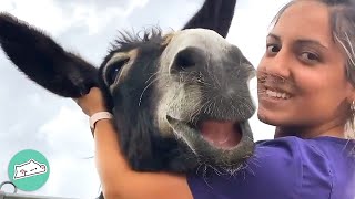 Donkeys Can’t Stop Smiling When Woman Hugs Them  Cuddle Buddies [upl. by Oryaj]