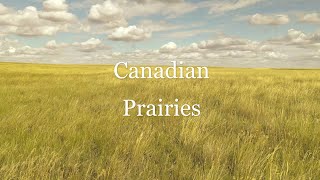 Canadian Prairies  Saskatchewan  Drone 4k [upl. by Namso]