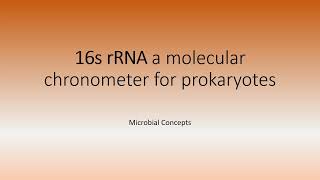 16s rRNA a widely used molecular chronometer for prokaryotes  Taxonomy  Microbiology [upl. by Nnainot]