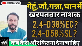 खरपतवार नाशक 24D 38 EC या 58 SL गेहूं जो गन्ना धान में कब और कैसे इस्तेमाल करें [upl. by Leirvag]