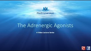 The Adrenergic Agonists [upl. by Avraham402]