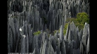 Stone Forest Tsingy de Bemaraha National Park in Madagascar [upl. by Garwin815]